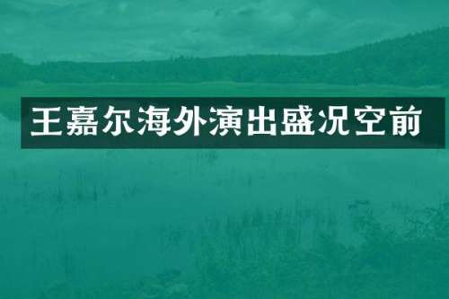 王嘉尔海外演出盛况空前