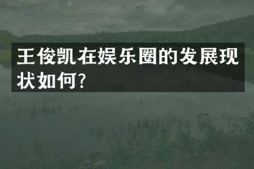 王俊凯在娱乐圈的发展现状如何？