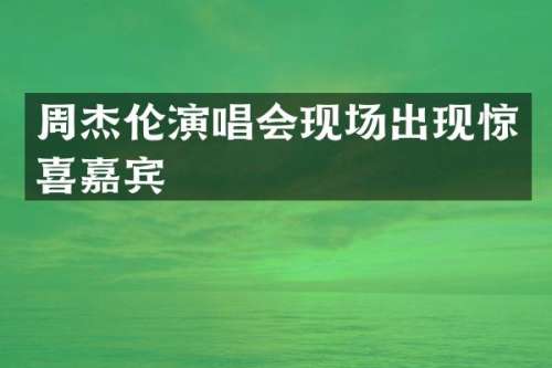 周杰伦演唱会现场出现惊喜嘉宾