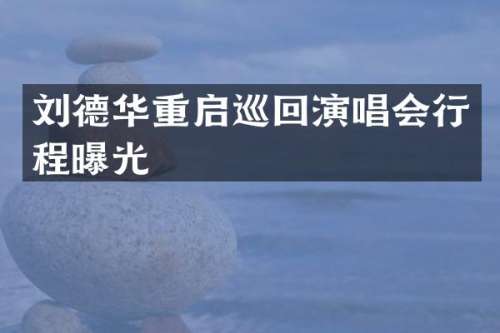 刘德华重启巡回演唱会行程曝光