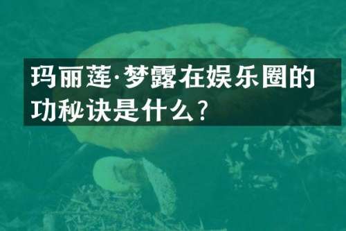 玛丽莲·梦在娱乐圈的成功秘诀是什么？