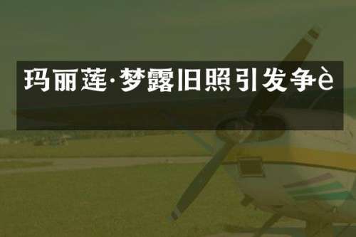 玛丽莲·梦旧照引发争议