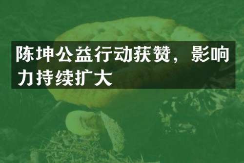 陈坤公益行动获赞，影响力持续扩大