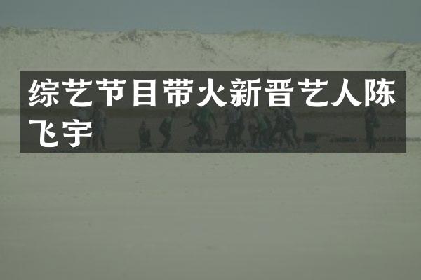 综艺节目带火新晋艺人陈飞宇