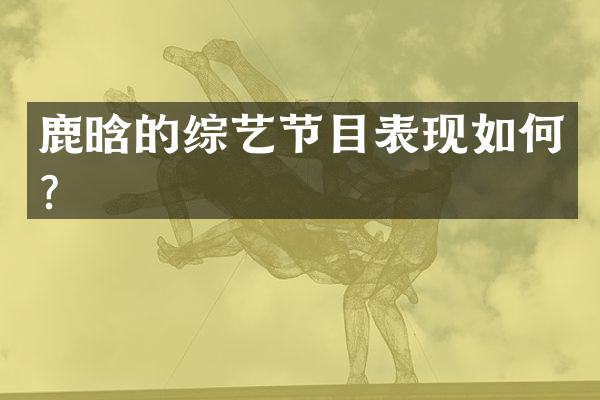 鹿晗的综艺节目表现如何?