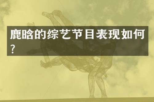 鹿晗的综艺节目表现如何？