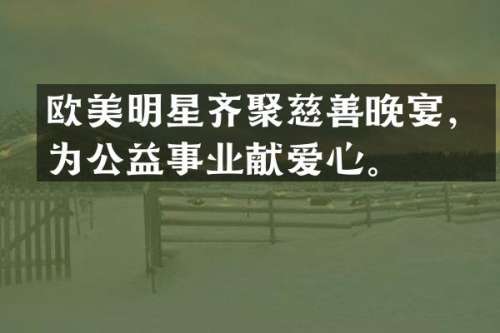 欧美明星齐聚慈善晚宴，为公益事业献爱心。