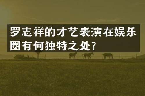 罗志祥的才艺表演在娱乐圈有何独特之处？