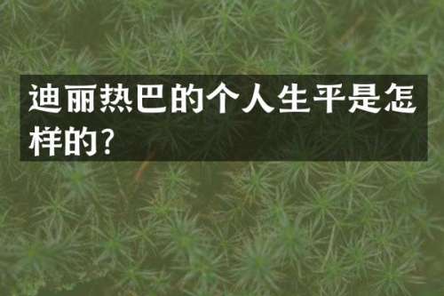 迪丽热巴的个人生平是怎样的？