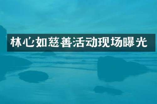 林心如慈善活动现场曝光