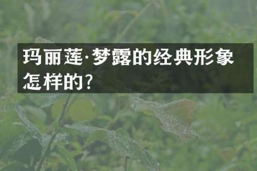 玛丽莲·梦的经典形象是怎样的？