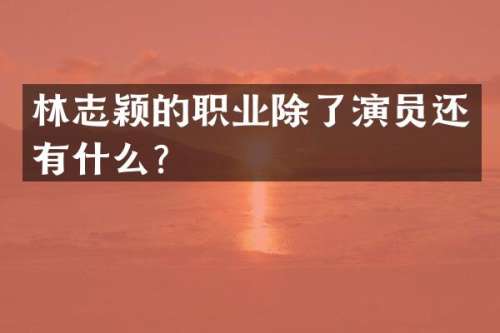 林志颖的职业除了演员还有什么？