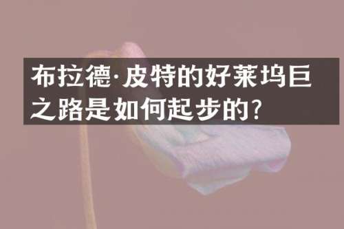 布拉德·皮特的好莱坞巨星之路是如何起步的？