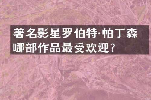 著名影星罗伯特·帕丁森的哪部作品最受欢迎？