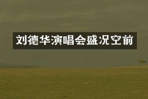 刘德华演唱会盛况空前