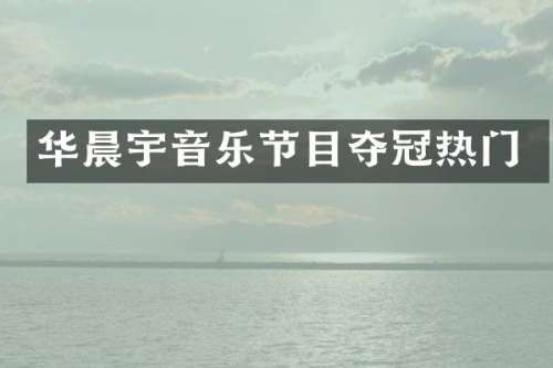 华晨宇音乐节目夺冠热门