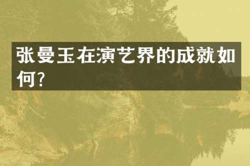 张曼玉在演艺界的成就如何？