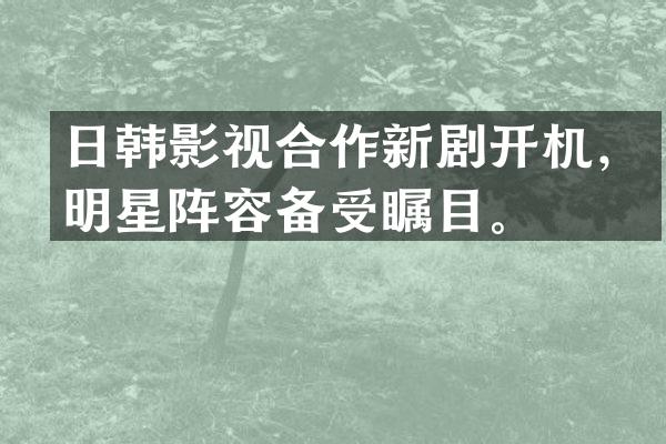 日韩影视合作新剧开机，明星阵容备受瞩目。