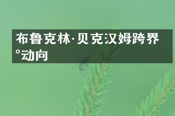 布鲁克林·贝克汉姆跨界新动向