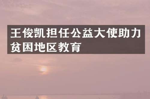 王俊凯担任公益大使助力贫困地区教育