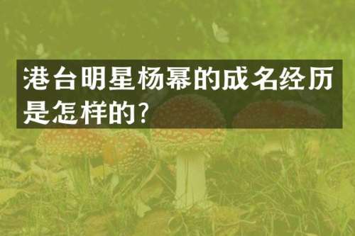 港台明星杨幂的成名经历是怎样的？
