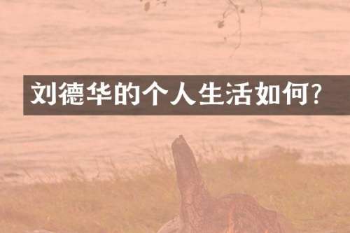 刘德华的个人生活如何？