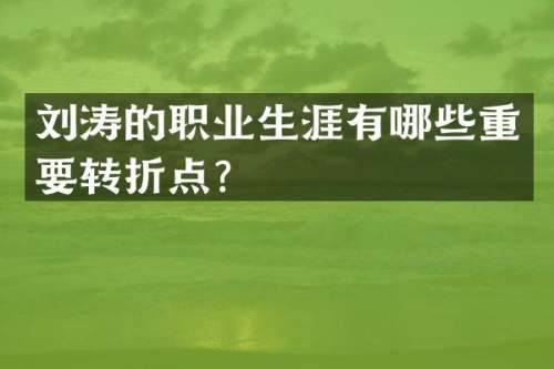 刘涛的职业生涯有哪些重要转折点？