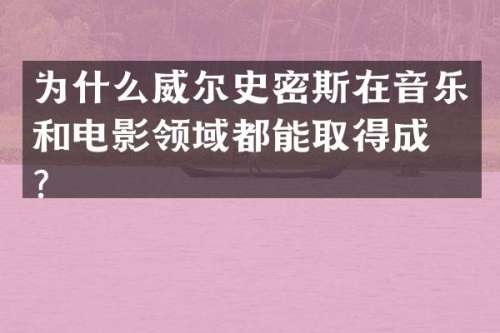 为什么威尔史密斯在音乐和电影领域都能取得成功？