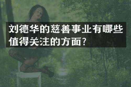 刘德华的慈善事业有哪些值得关注的方面？