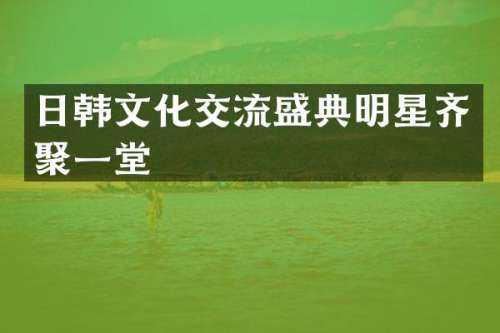 日韩文化交流盛典明星齐聚一堂