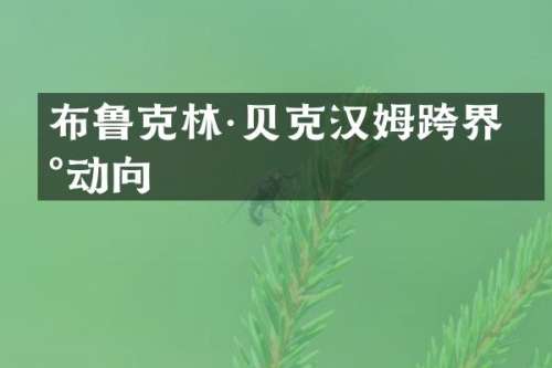 布鲁克林·贝克汉姆跨界新动向