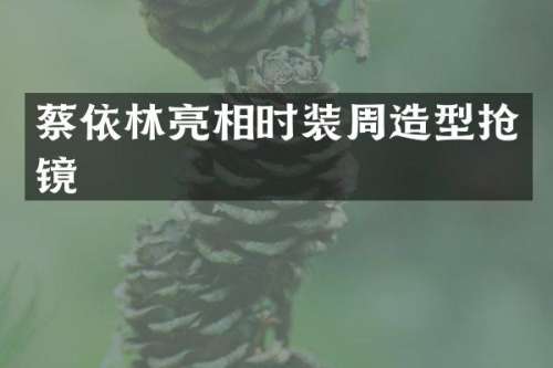 蔡依林亮相时装周造型抢镜