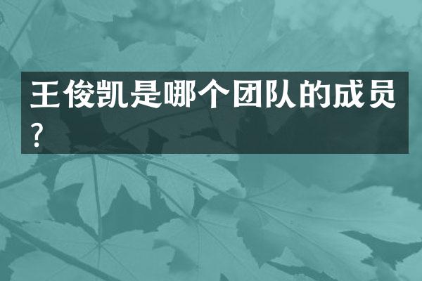 王俊凯是哪个团队的成员？