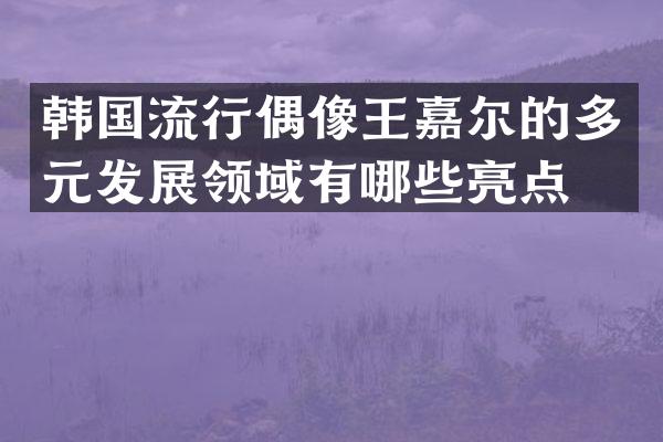 韩国流行偶像王嘉尔的多元发展领域有哪些亮点？
