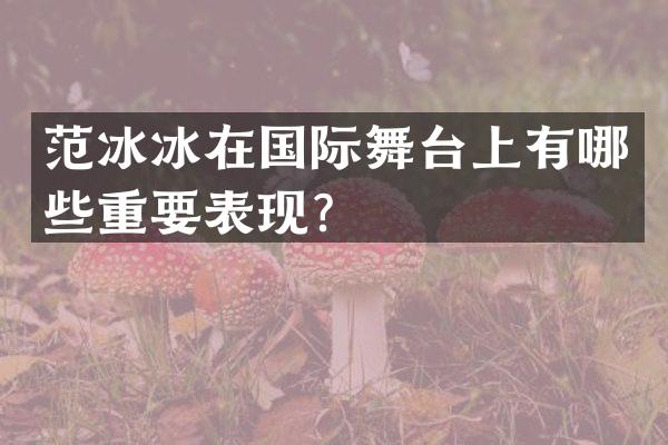 在国际舞台上有哪些重要表现？
