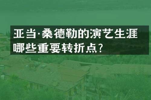 亚当·桑德勒的演艺生涯有哪些重要转折点？