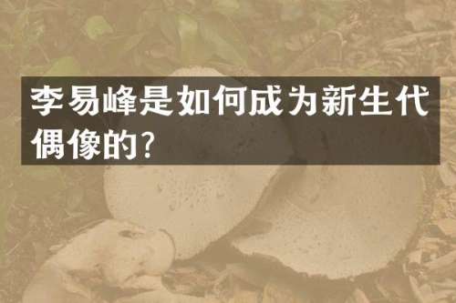 李易峰是如何成为新生代偶像的？