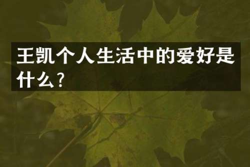 王凯个人生活中的爱好是什么？