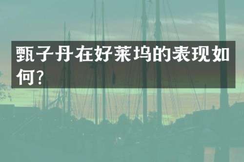 甄子丹在好莱坞的表现如何？