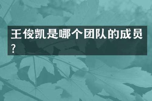 王俊凯是哪个团队的成员？