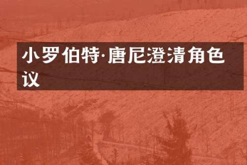 小罗伯特·唐尼澄清角色争议