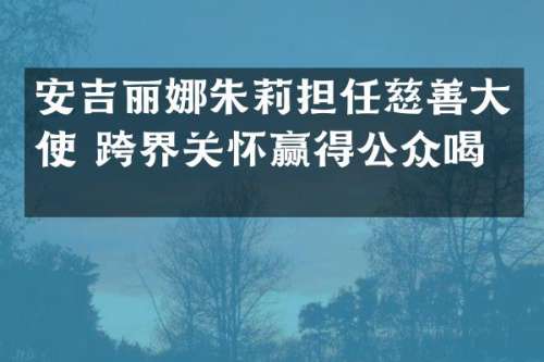 安吉丽娜朱莉担任慈善大使 跨界关怀赢得公众喝彩