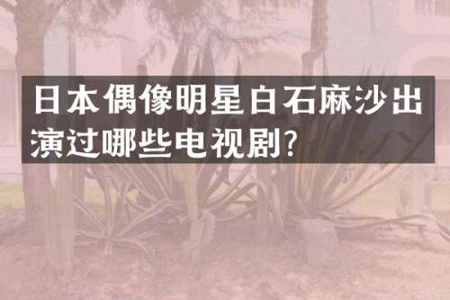日本偶像明星白石麻沙出演过哪些电视剧？