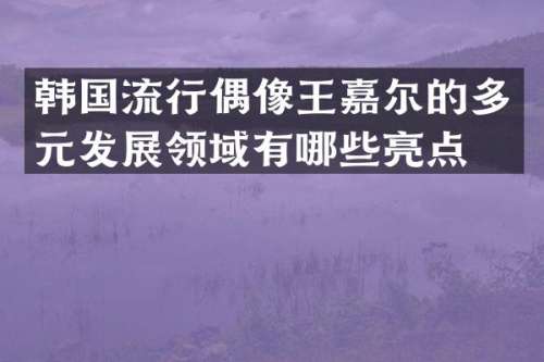 韩国流行偶像王嘉尔的多元发展领域有哪些亮点？