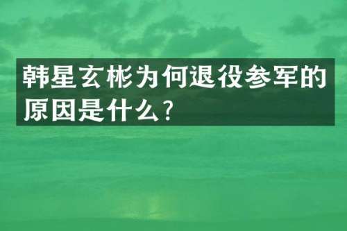 韩星玄彬为何退役参军的原因是什么？