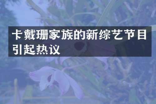 卡戴珊家族的新综艺节目引起热议