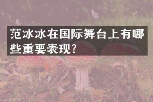 在国际舞台上有哪些重要表现？