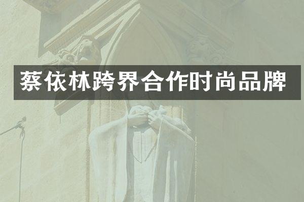 蔡依林跨界合作时尚品牌