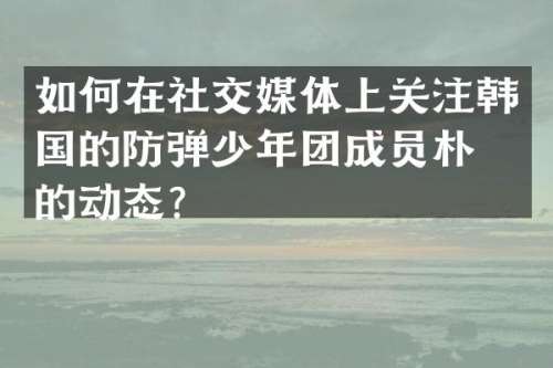 如何在社交媒体上关注韩国的少年团成员朴智旻的动态？