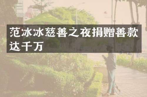 慈善之夜捐赠善款达千万